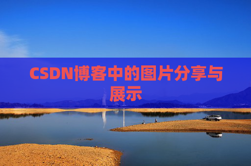CSDN博客中的图片分享与展示